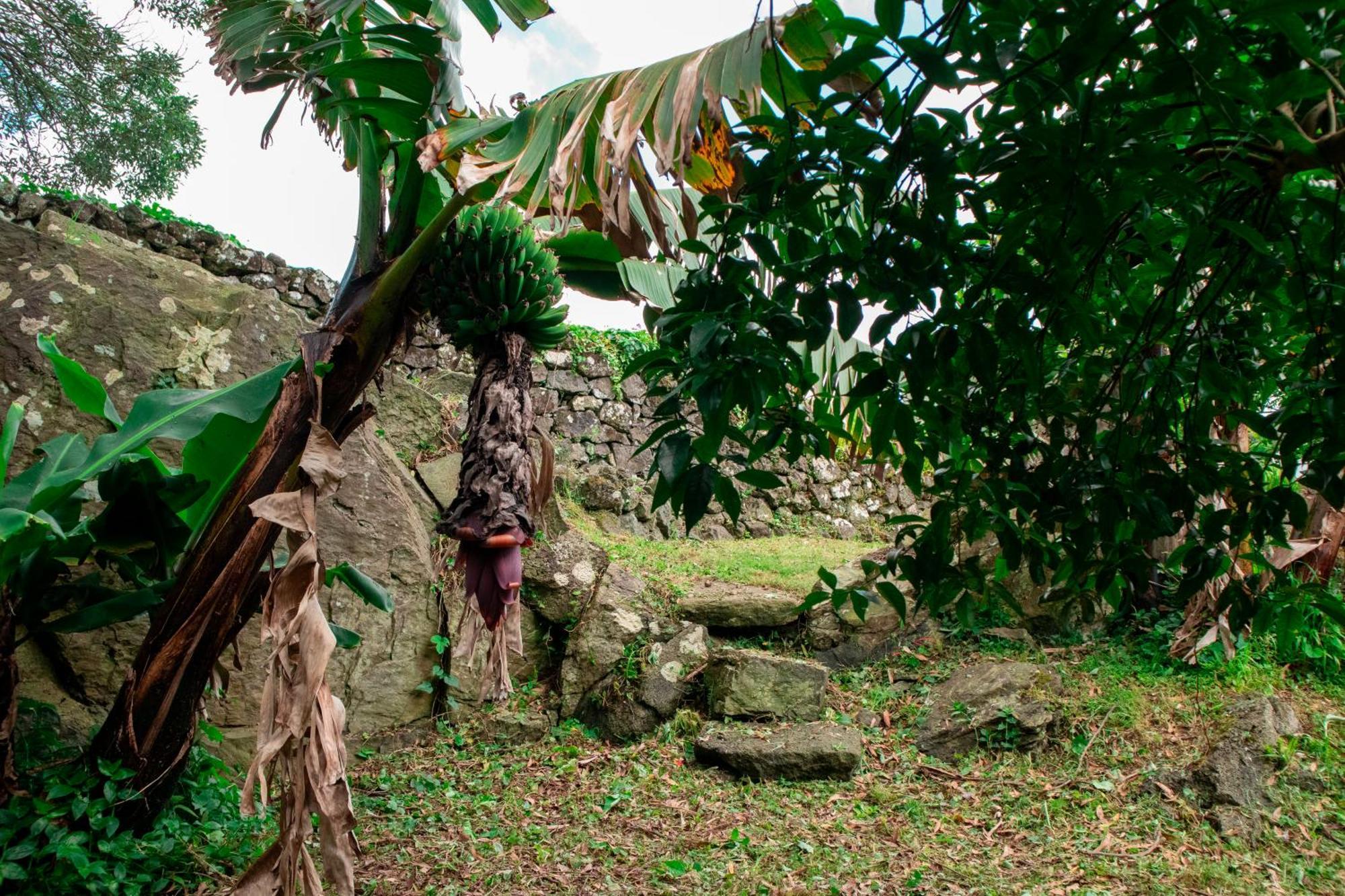 Casa De Campo Franco Da Serra Angra do Heroísmo Zewnętrze zdjęcie