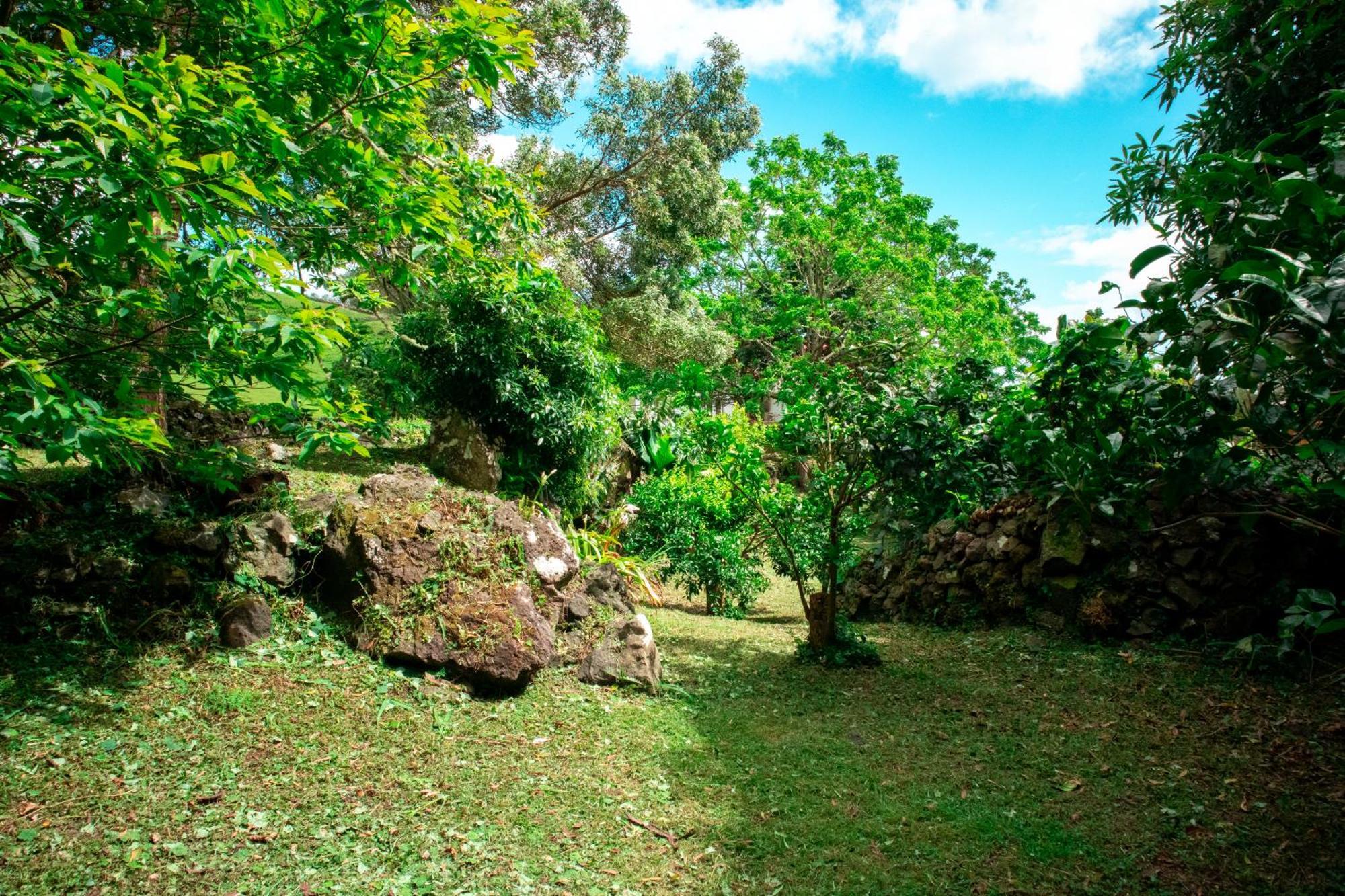 Casa De Campo Franco Da Serra Angra do Heroísmo Zewnętrze zdjęcie